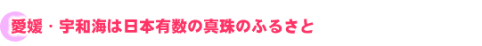 愛媛・宇和海は日本有数の真珠のふるさと